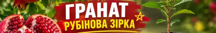 Натуральний мед від пасічника — реклама