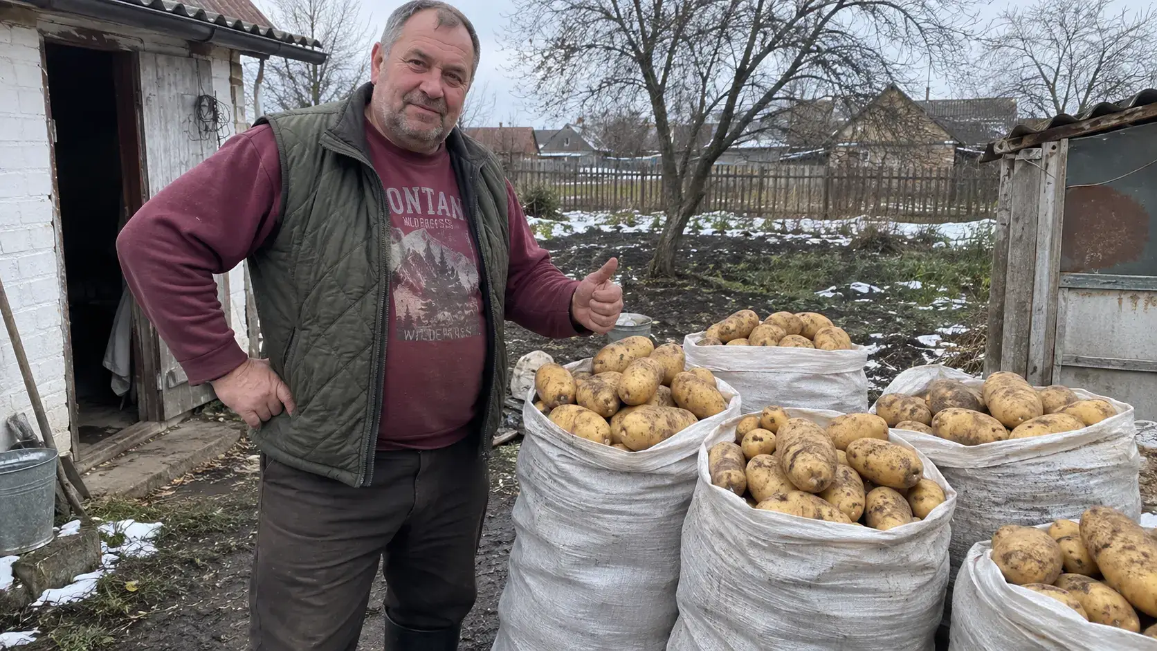 Відео: грядка «Ярини» навесні